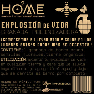 ACTIVADORES DE VIDA
